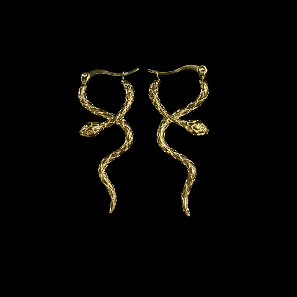 BOUCLES D'OREILLES FIERCE